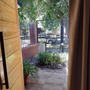 Petit Jardin